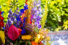 220616-153641-utrechtseharingparty-5852-2048px
