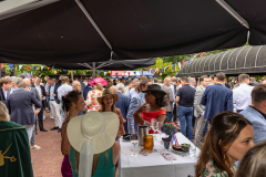 250626-Annemarie-Bakker-fotografie-De-Utrechtse-Haringparty-077